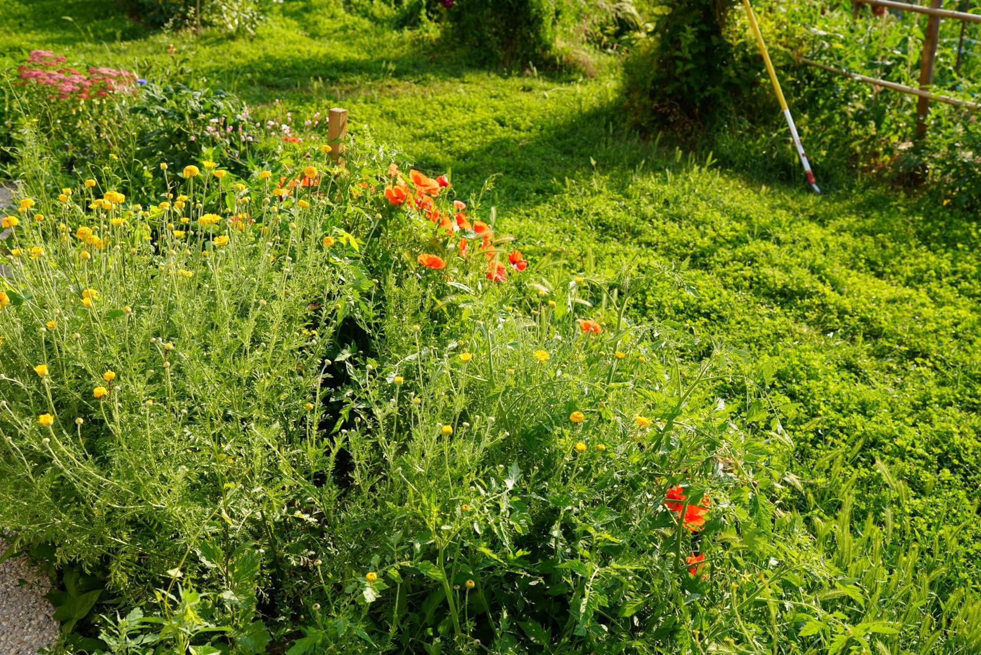 Вилла Les Jardins De Felicie Poses Экстерьер фото