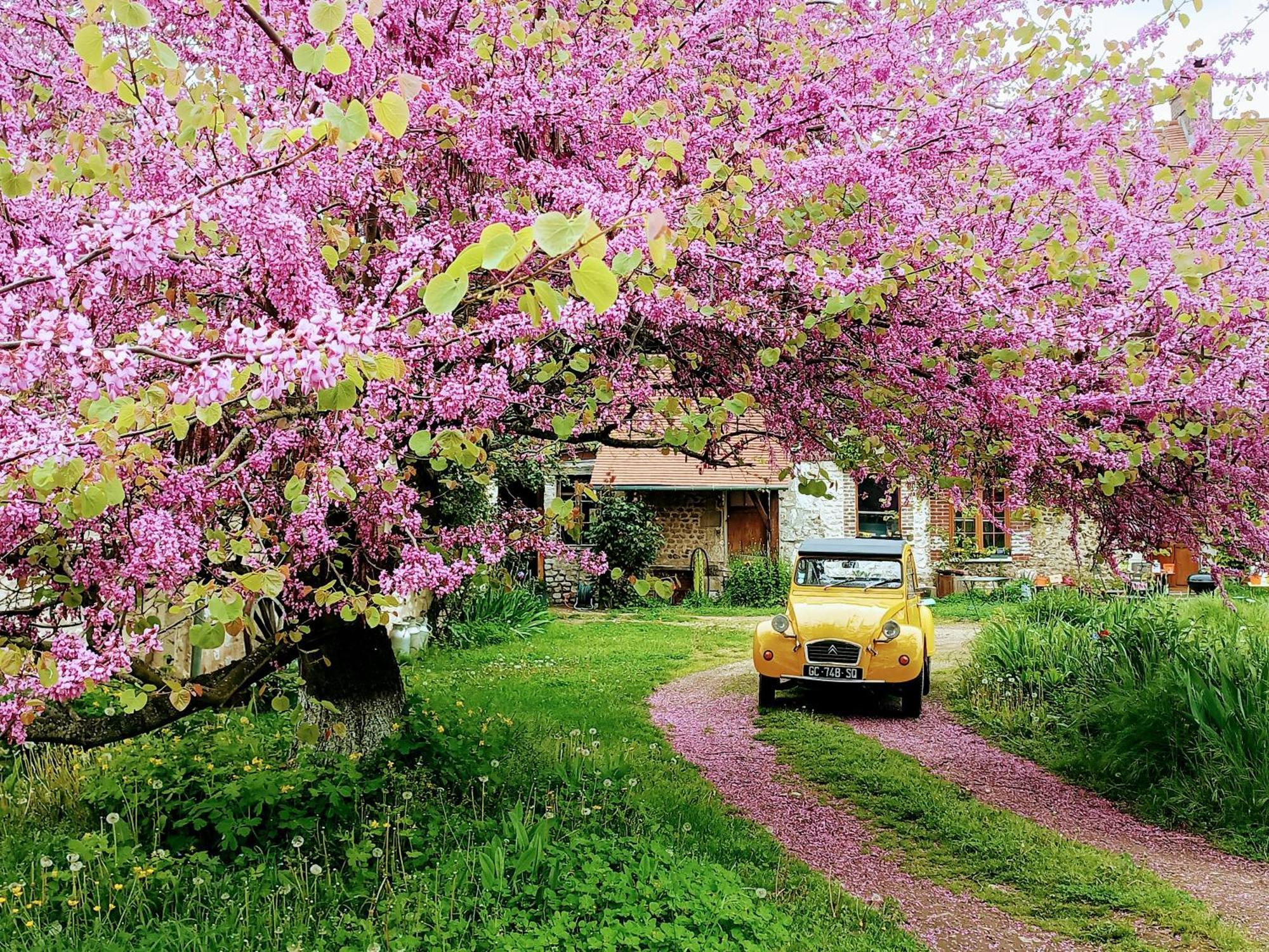 Вилла Les Jardins De Felicie Poses Экстерьер фото